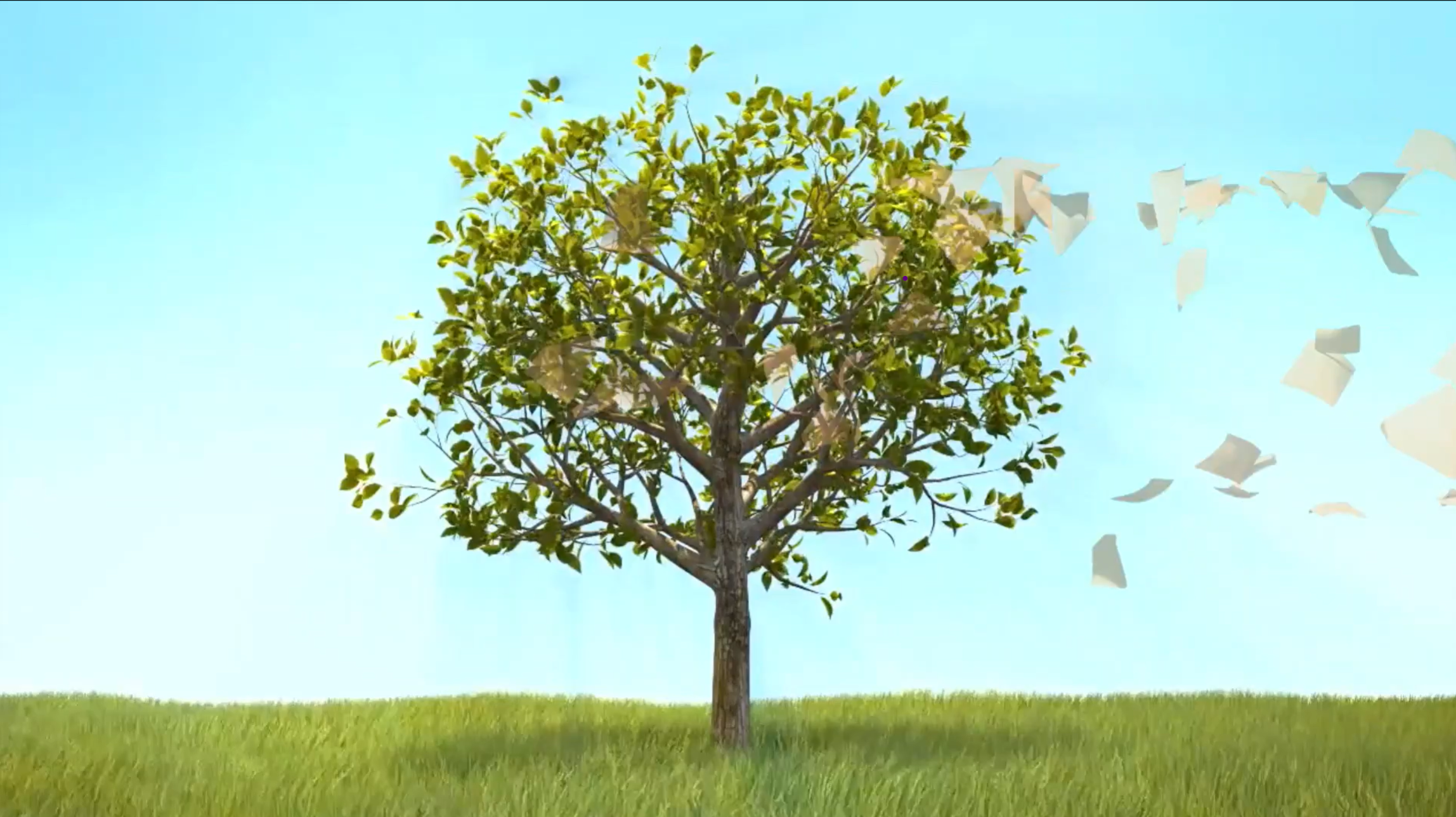 НМСГК имени И. П. Выучейского